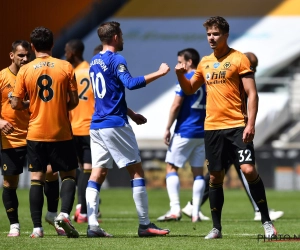 Un champion du monde pour entraîner les Wolves de Leander Dendoncker ?