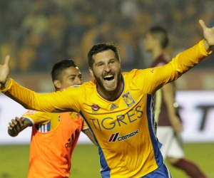 André-Pierre Gignac prolonge avec les Tigres