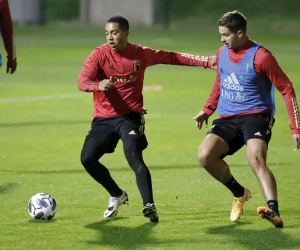 Youri Tielemans-Leander Dendoncker, un duo "complémentaire" 