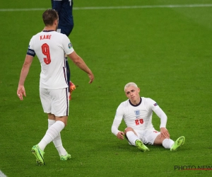 Les trois lions dormaient ce soir