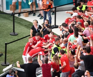 Plusieurs supporters hongrois interdits de stade pour deux ans