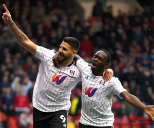 🎥 Record de buts en une saison pour Mitrovic ! 