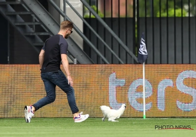 🎥 Des oeufs lancés et un poulet sur la pelouse en guise de protestation, lors d'Heracles - Heerenveen