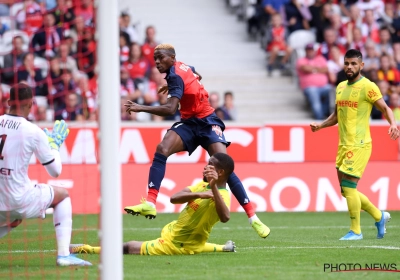 🎥 Lille reste invaincu à domicile, Osimhen encore buteur !