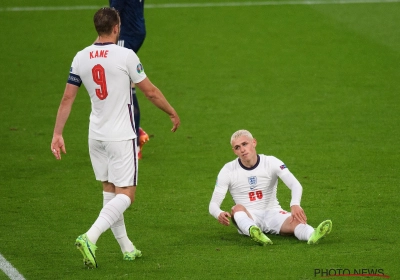 Les trois lions dormaient ce soir