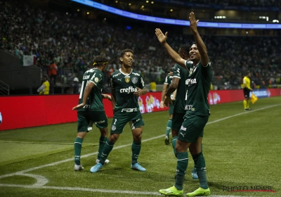 Palmeiras renforce son record de titres de champion du Brésil 