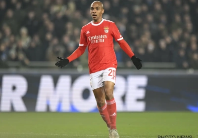 🎥 Scènes de tension à Benfica, l'adversaire du Club de Bruges en Ligue des Champions